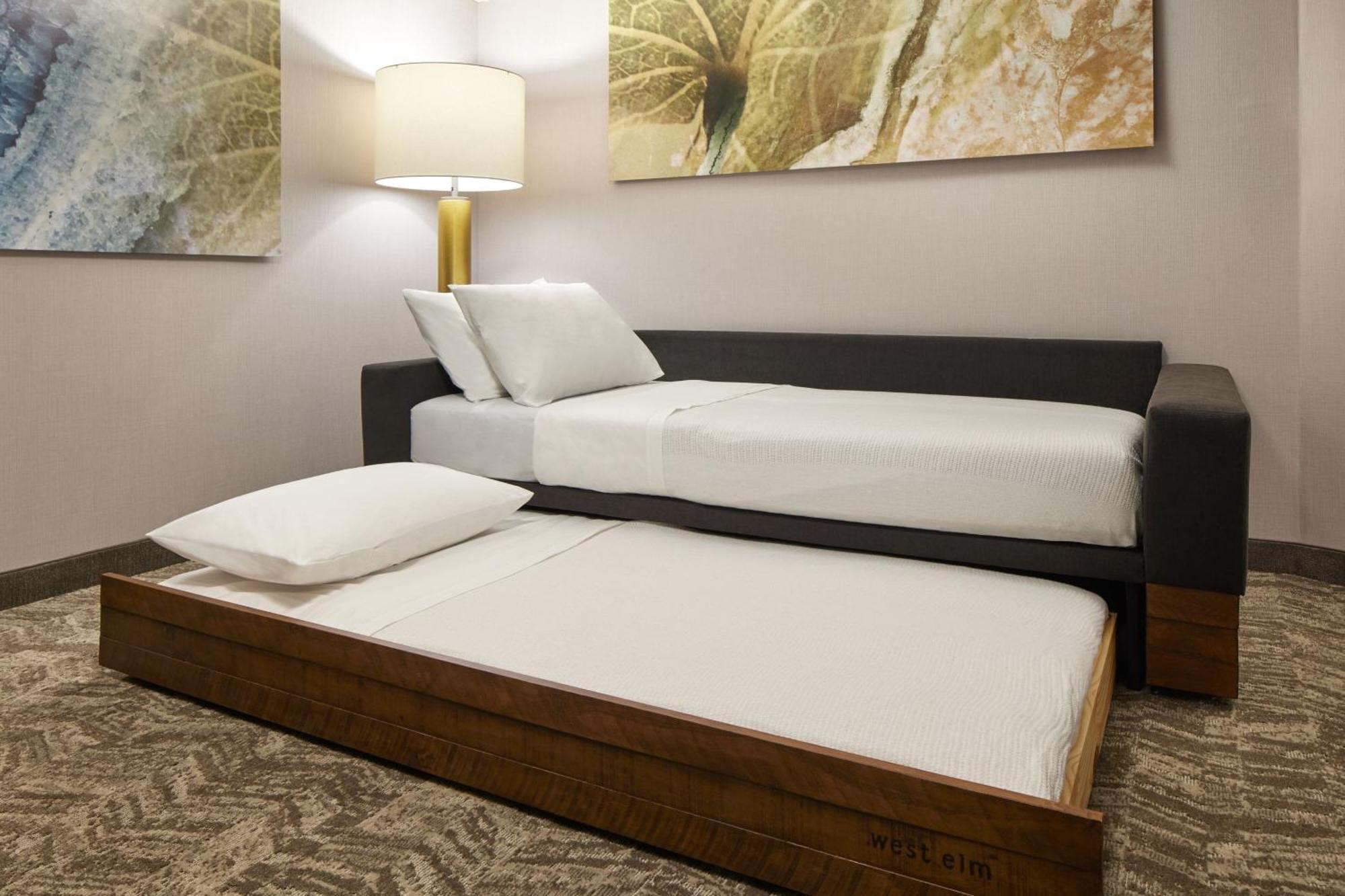 Springhill Suites By Marriott Frederica Bagian luar foto